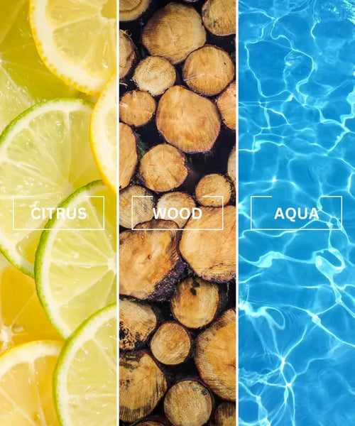 Автопарфум AROMA PRO для AUDI